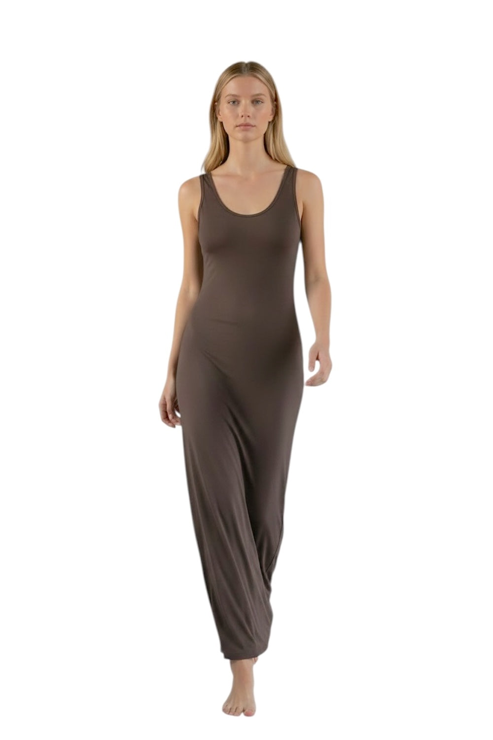 Saiph brown dress