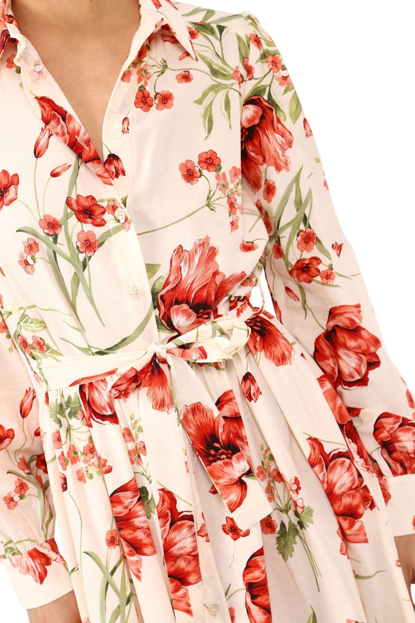 Dixie multicolor chemiser dress