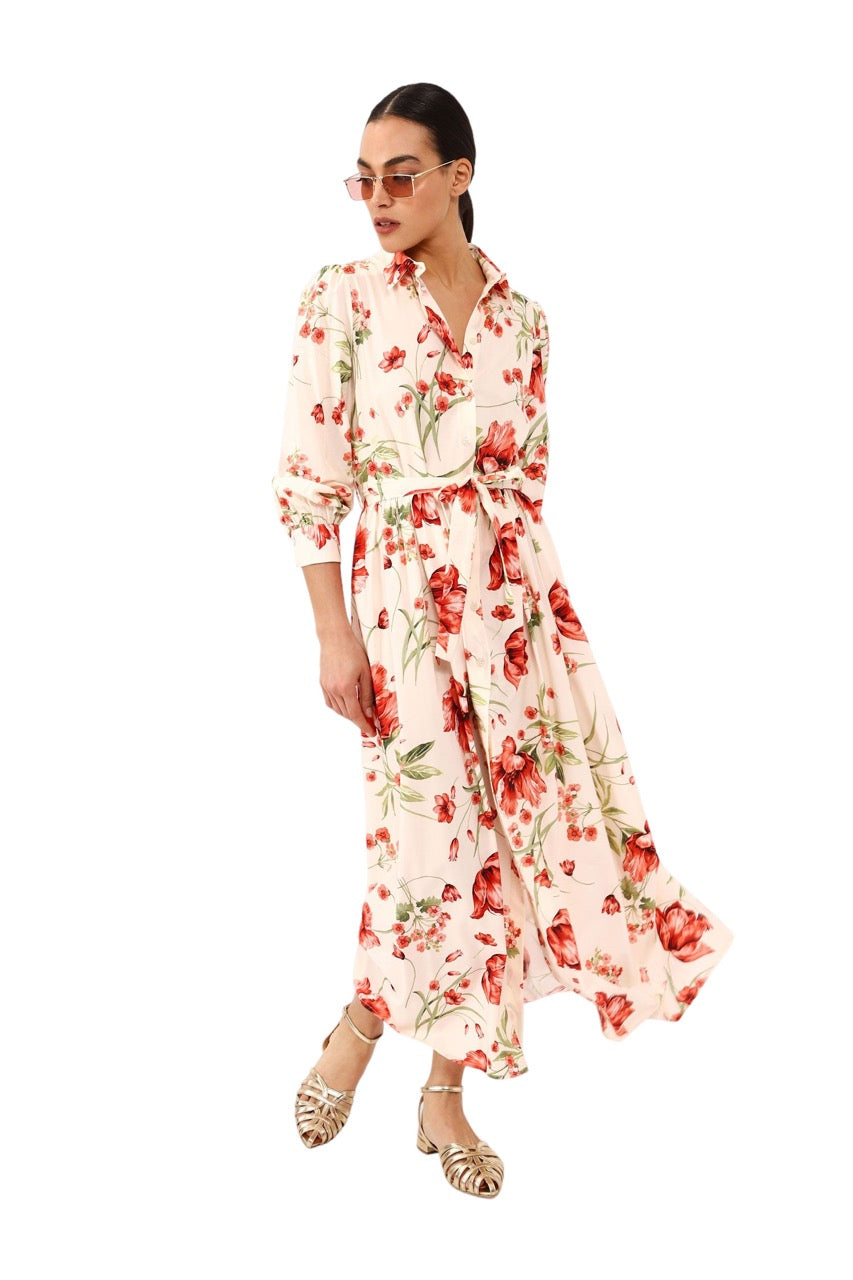 Dixie multicolor chemiser dress