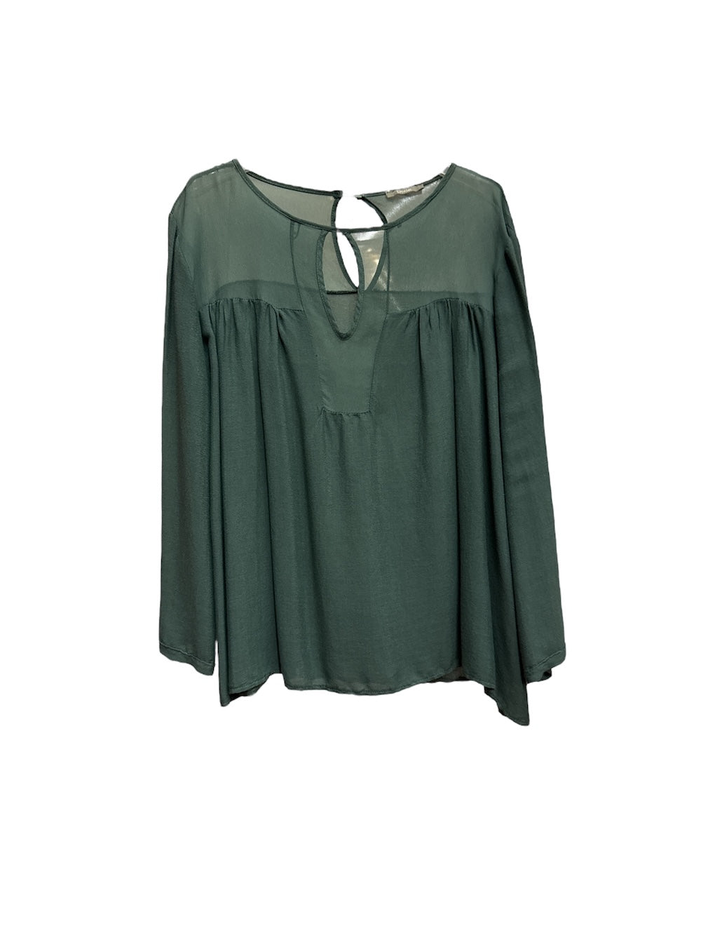 Dixie green shirt