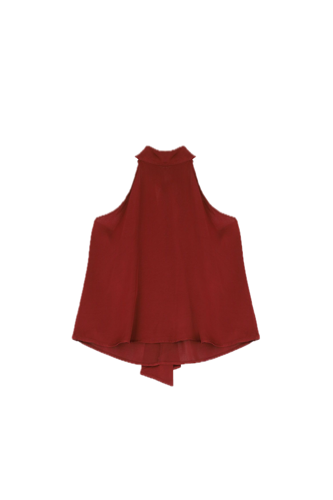 Dixie india red top