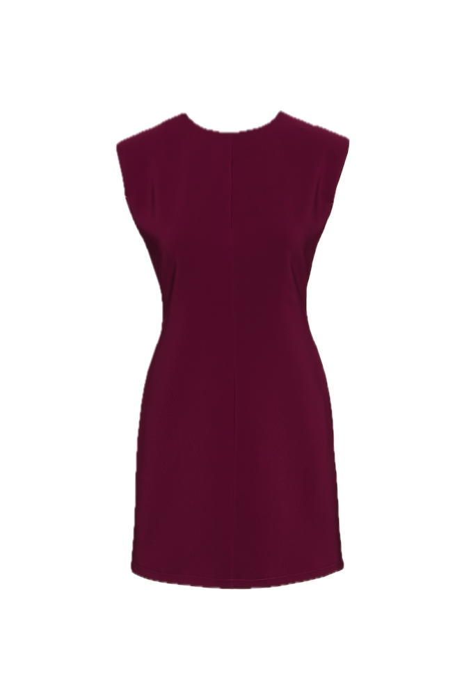 Saiph bordeaux short dress