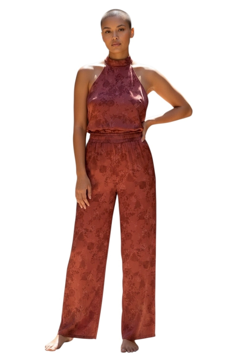 Saiph rust pants
