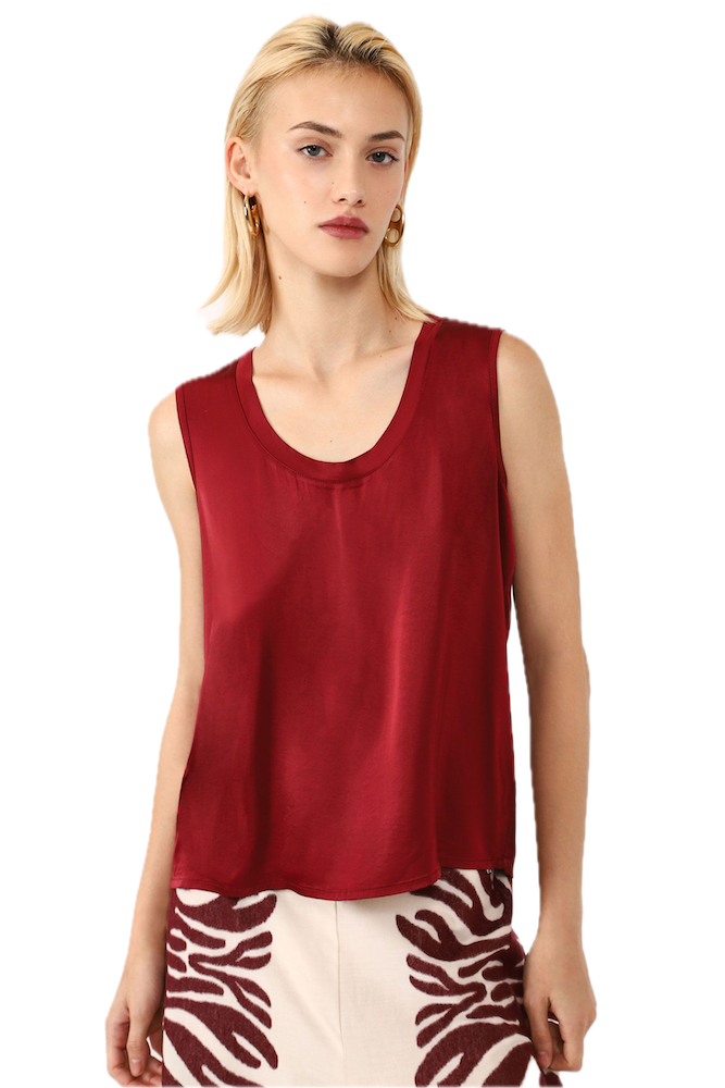 Dixie india red top