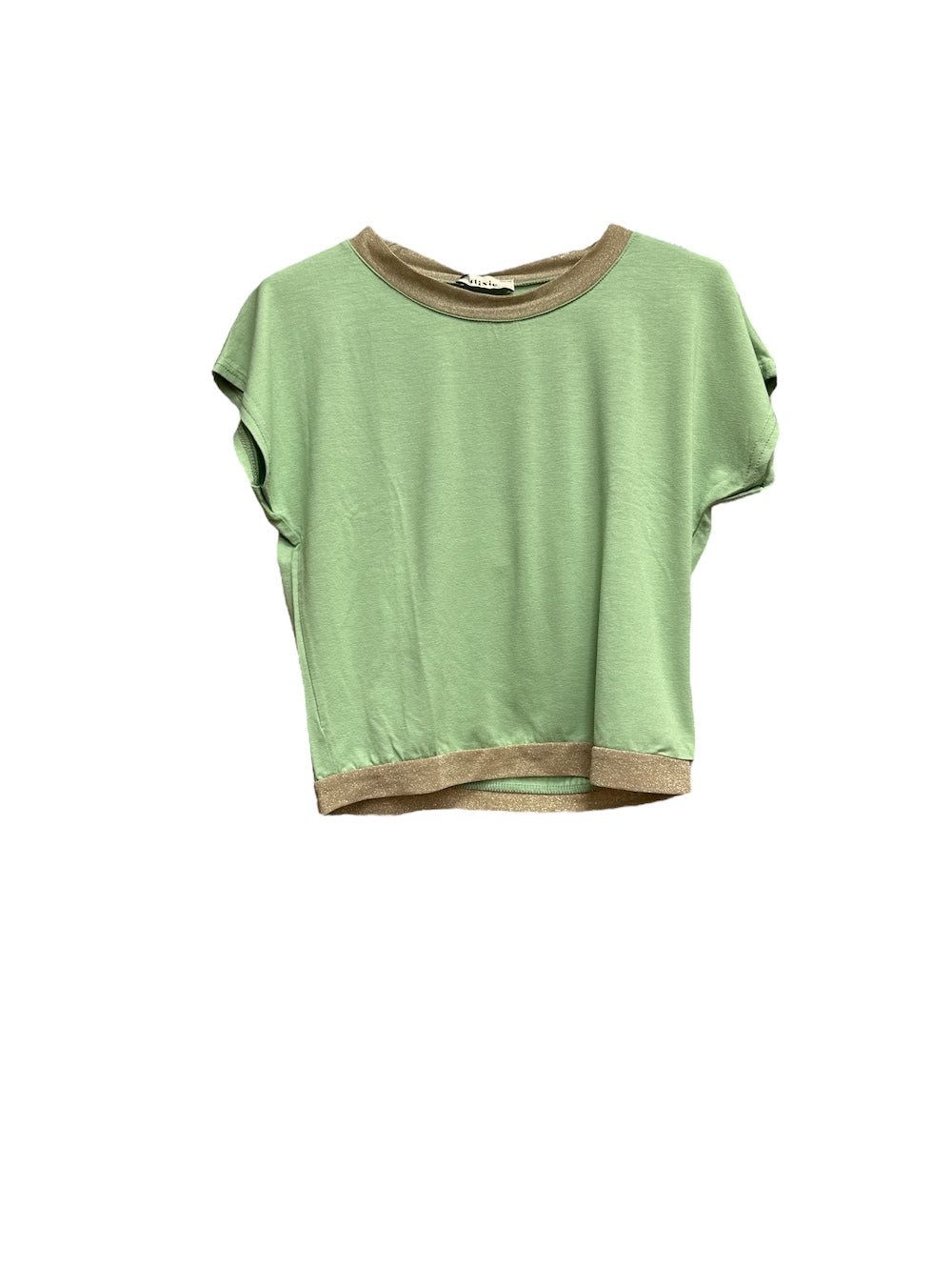 Dixie mint t-shirt